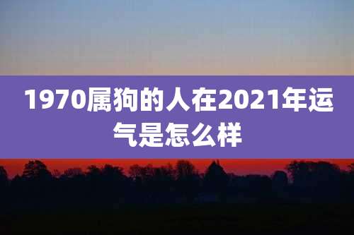 1970属狗的人在2021年运气是怎么样