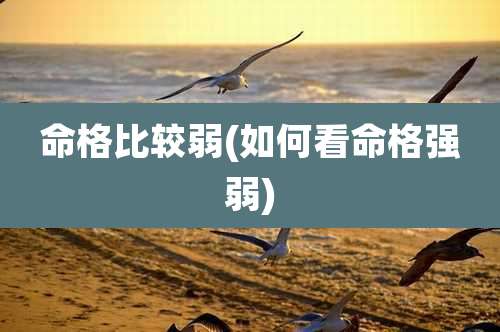 命格比较弱(如何看命格强弱)