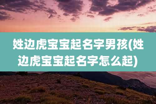 姓边虎宝宝起名字男孩(姓边虎宝宝起名字怎么起)