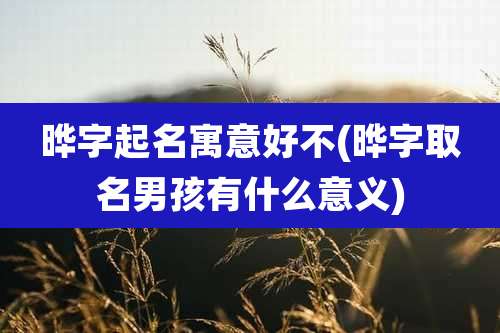 晔字起名寓意好不(晔字取名男孩有什么意义)