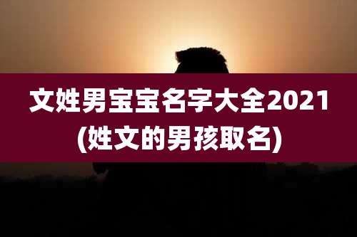 文姓男宝宝名字大全2021(姓文的男孩取名)
