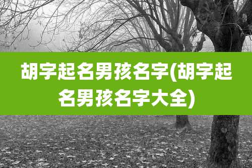 胡字起名男孩名字(胡字起名男孩名字大全)