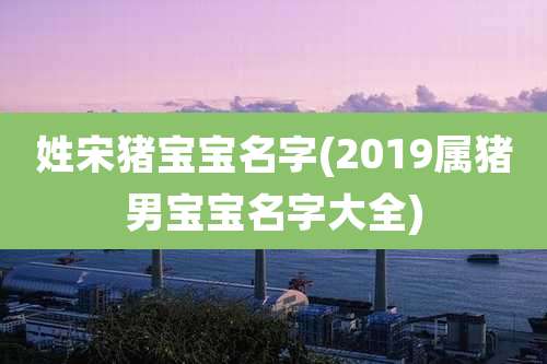 姓宋猪宝宝名字(2019属猪男宝宝名字大全)