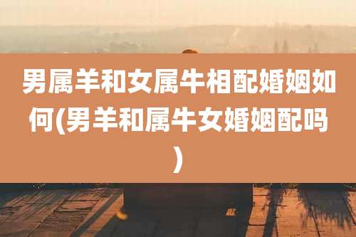 男属羊和女属牛相配婚姻如何(男羊和属牛女婚姻配吗)