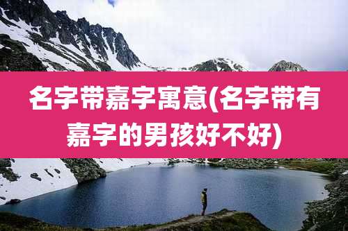 名字带嘉字寓意(名字带有嘉字的男孩好不好)