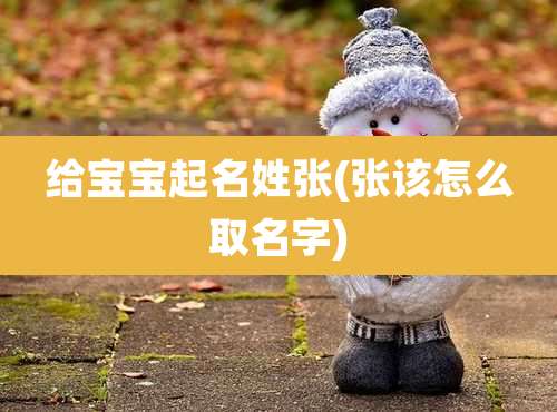 给宝宝起名姓张(张该怎么取名字)