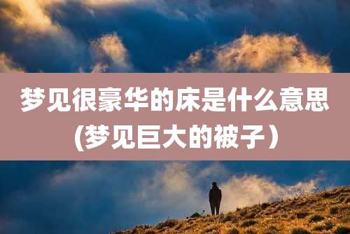 梦见很豪华的床是什么意思(梦见巨大的被子)