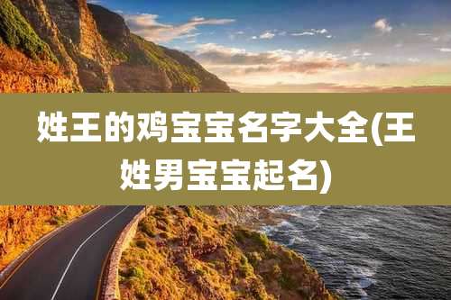 姓王的鸡宝宝名字大全(王姓男宝宝起名)