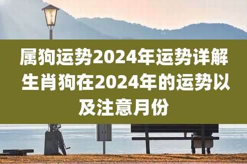 属狗运势2024年运势详解 生肖狗在2024年的运势以及注意月份