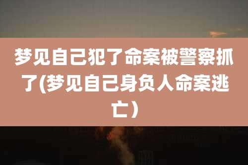 梦见自己犯了命案被警察抓了(梦见自己身负人命案逃亡）