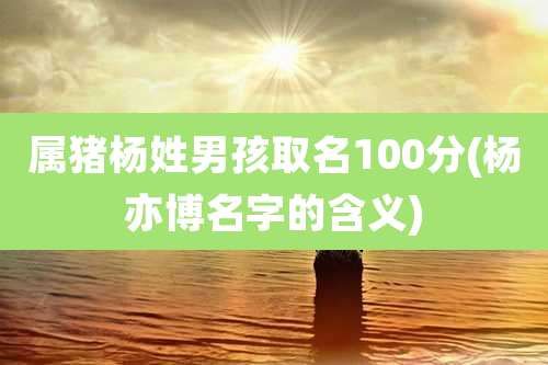 属猪杨姓男孩取名100分(杨亦博名字的含义)