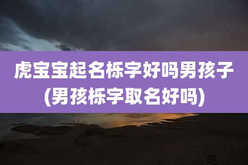 虎宝宝起名栎字好吗男孩子(男孩栎字取名好吗)