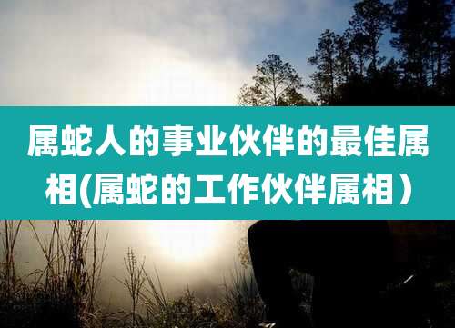 属蛇人的事业伙伴的最佳属相(属蛇的工作伙伴属相)