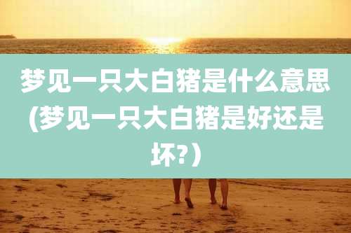 梦见一只大白猪是什么意思(梦见一只大白猪是好还是坏?)