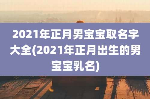 2021年正月男宝宝取名字大全(2021年正月出生的男宝宝乳名)