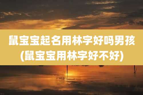 鼠宝宝起名用林字好吗男孩(鼠宝宝用林字好不好)