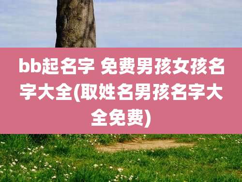 bb起名字 免费男孩女孩名字大全(取姓名男孩名字大全免费)