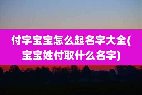 付字宝宝怎么起名字大全(宝宝姓付取什么名字)
