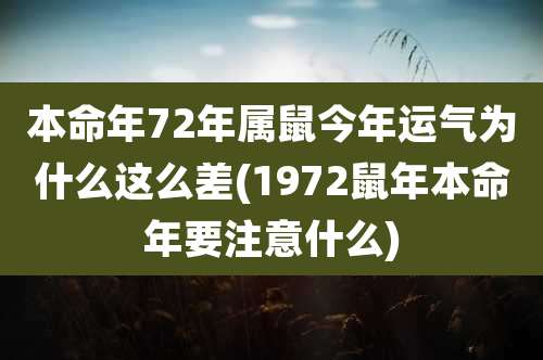 本命年72年属鼠今年运气为什么这么差(1972鼠年本命年要注意什么)