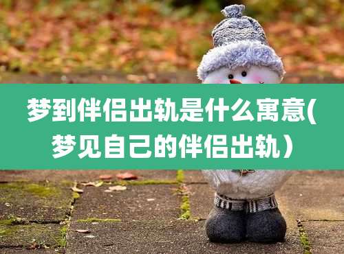 梦到伴侣出轨是什么寓意(梦见自己的伴侣出轨)