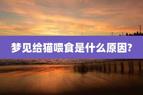 梦见给猫喂食是什么原因?