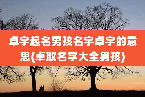 卓字起名男孩名字卓字的意思(卓取名字大全男孩)