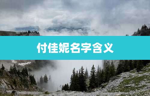 付佳妮名字含义