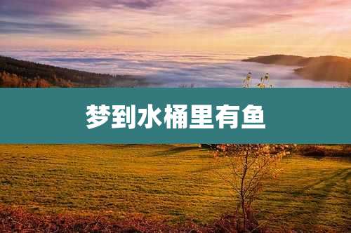 梦到水桶里有鱼
