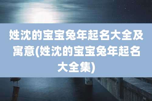 姓沈的宝宝兔年起名大全及寓意(姓沈的宝宝兔年起名大全集)