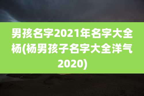 男孩名字2021年名字大全杨(杨男孩子名字大全洋气2020)