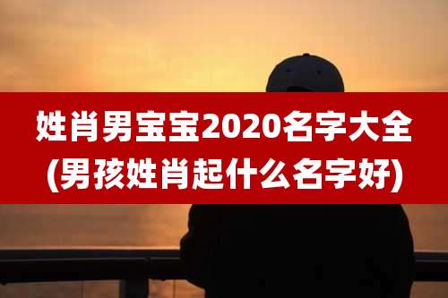 姓肖男宝宝2020名字大全(男孩姓肖起什么名字好)