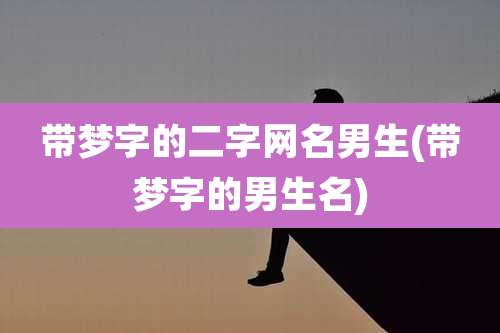 带梦字的二字网名男生(带梦字的男生名)