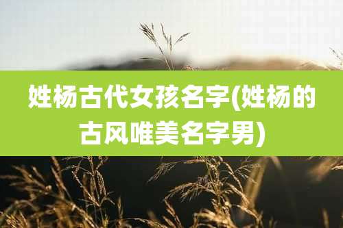 姓杨古代女孩名字(姓杨的古风唯美名字男)