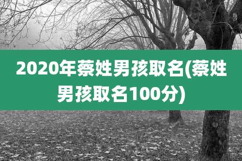 2020年蔡姓男孩取名(蔡姓男孩取名100分)