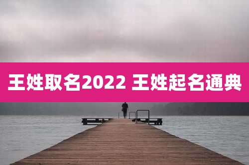 王姓取名2022 王姓起名通典