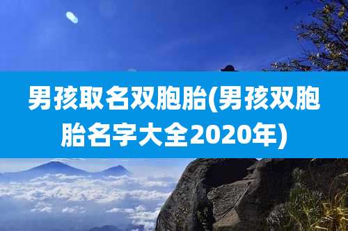 男孩取名双胞胎(男孩双胞胎名字大全2020年)