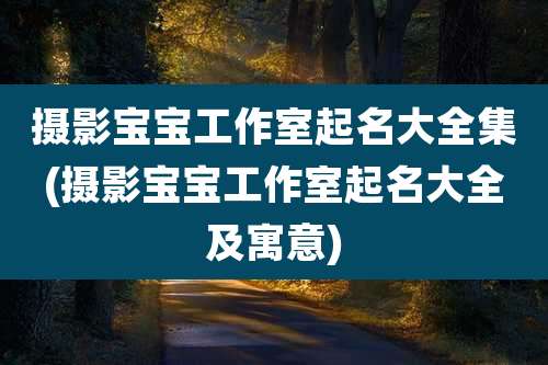 摄影宝宝工作室起名大全集(摄影宝宝工作室起名大全及寓意)