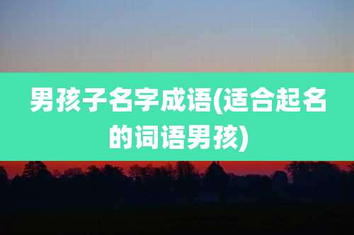 男孩子名字成语(适合起名的词语男孩)