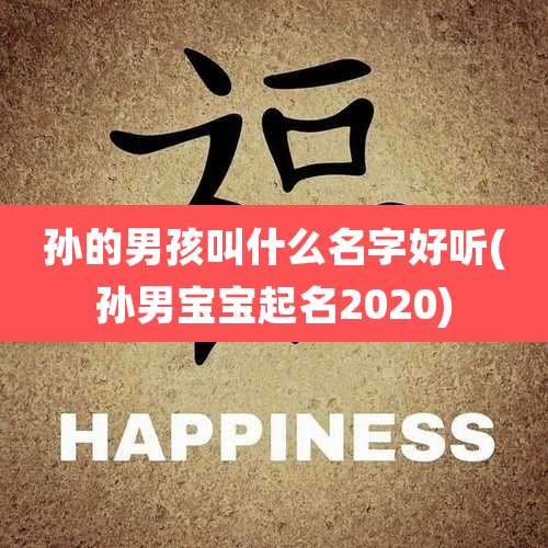 孙的男孩叫什么名字好听(孙男宝宝起名2020)
