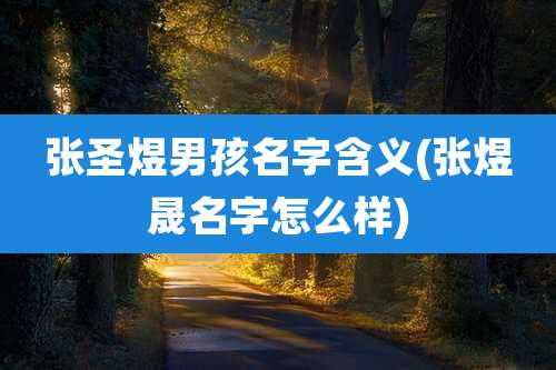 张圣煜男孩名字含义(张煜晟名字怎么样)