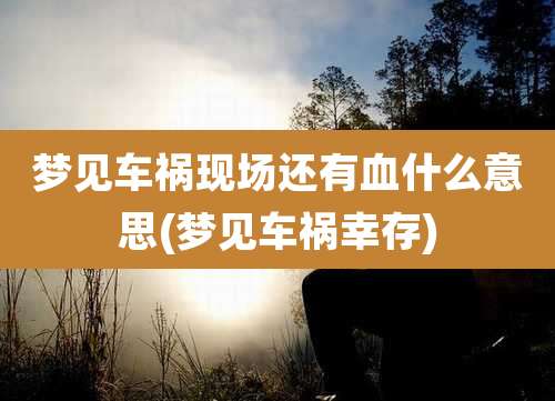 梦见车祸现场还有血什么意思(梦见车祸幸存)