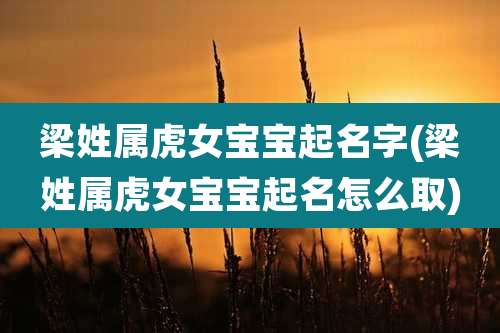 梁姓属虎女宝宝起名字(梁姓属虎女宝宝起名怎么取)