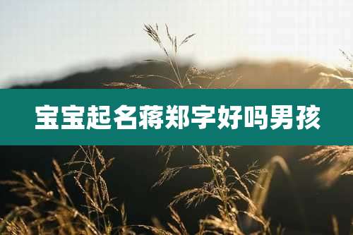 宝宝起名蒋郑字好吗男孩