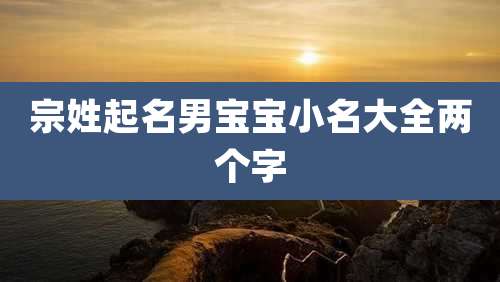 宗姓起名男宝宝小名大全两个字