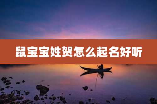 鼠宝宝姓贺怎么起名好听