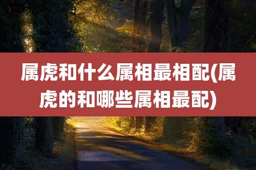 属虎和什么属相最相配(属虎的和哪些属相最配)