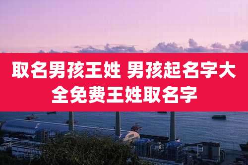 取名男孩王姓 男孩起名字大全免费王姓取名字
