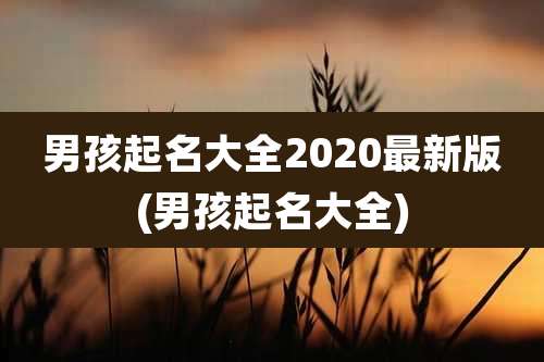 男孩起名大全2020最新版(男孩起名大全)