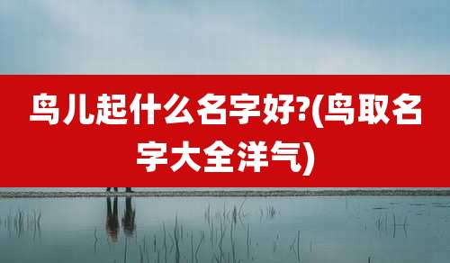 鸟儿起什么名字好?(鸟取名字大全洋气)