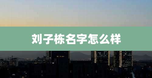 刘子栋名字怎么样